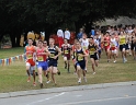2009 CIF XC D5 Boys  - 003